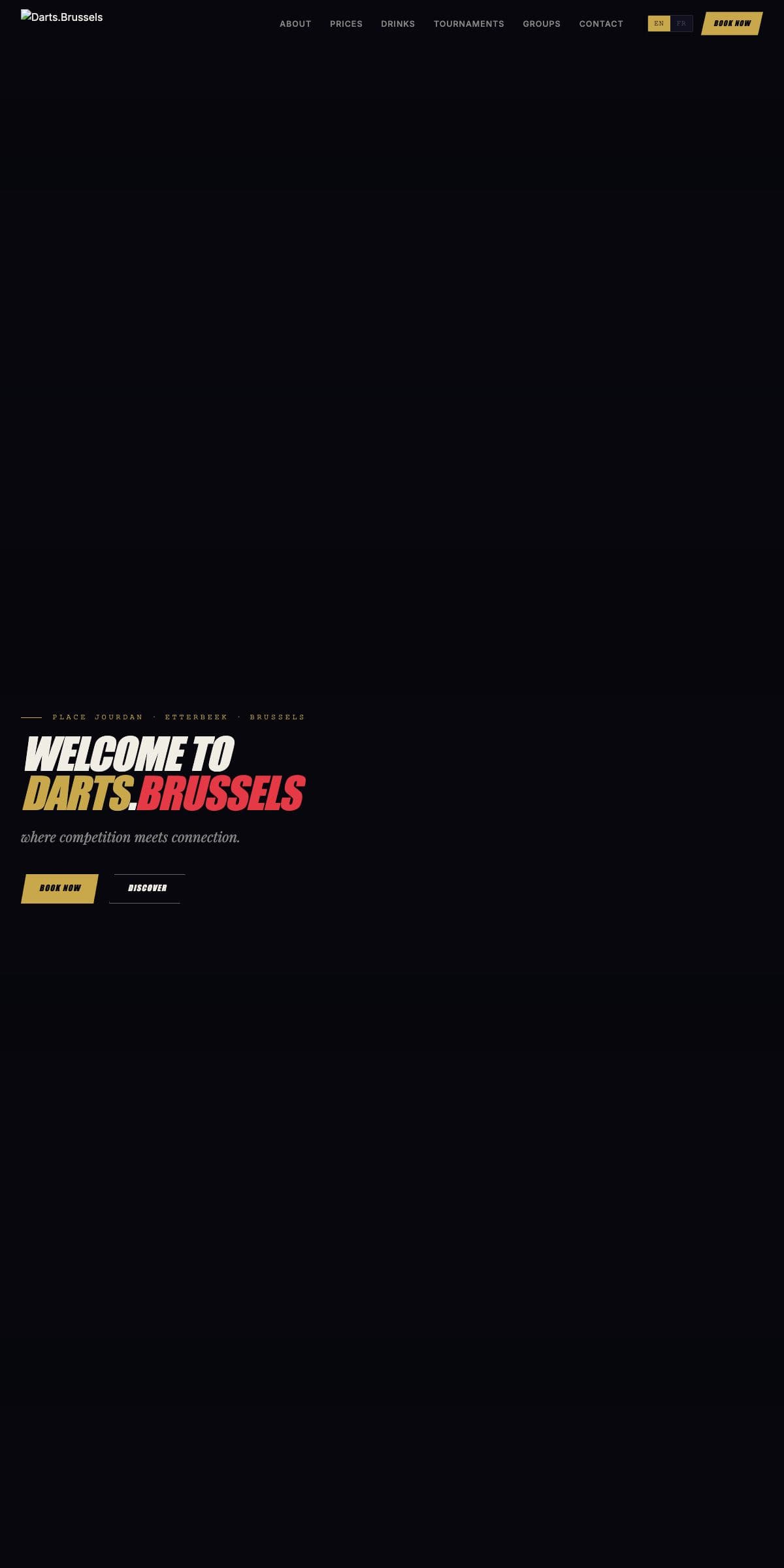 Darts Brussels, capture du site