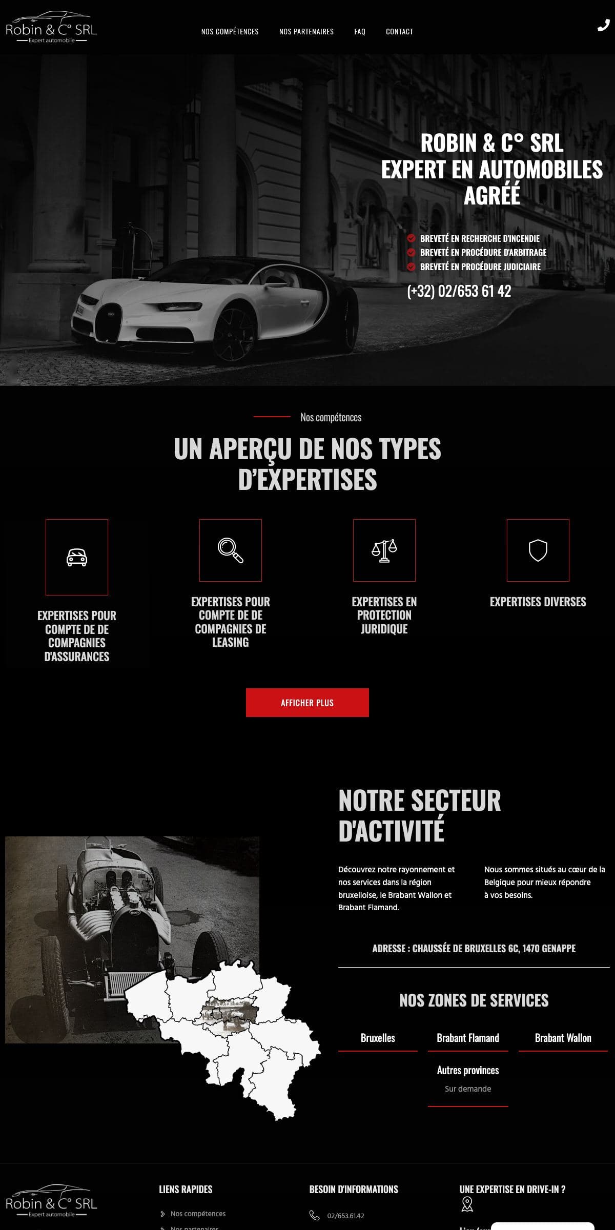 Robin Expertise, capture du site